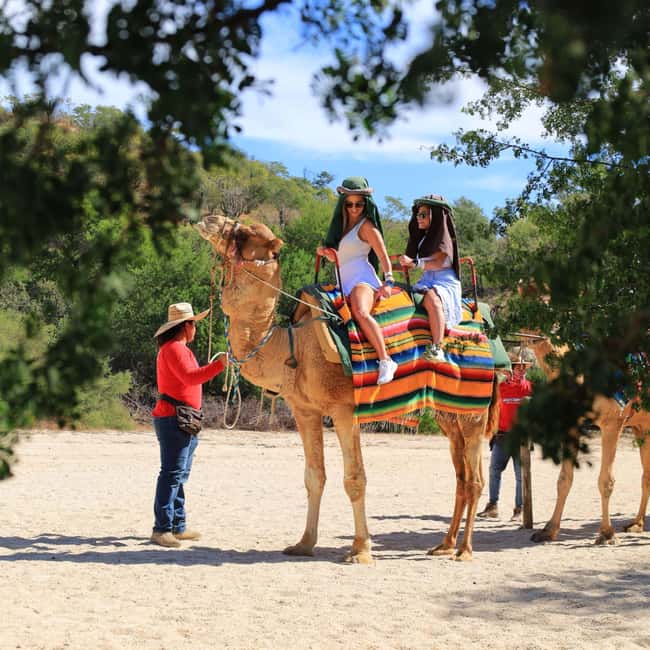 Agadir: Camel Ride With Tea & BBQ Dinner Option - Leaving Agadir for the Souss countryside