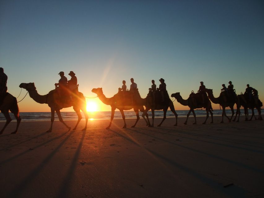 Agadir: Camel Ride With Tea & BBQ Dinner Option - A 90-minute to two-hour ride