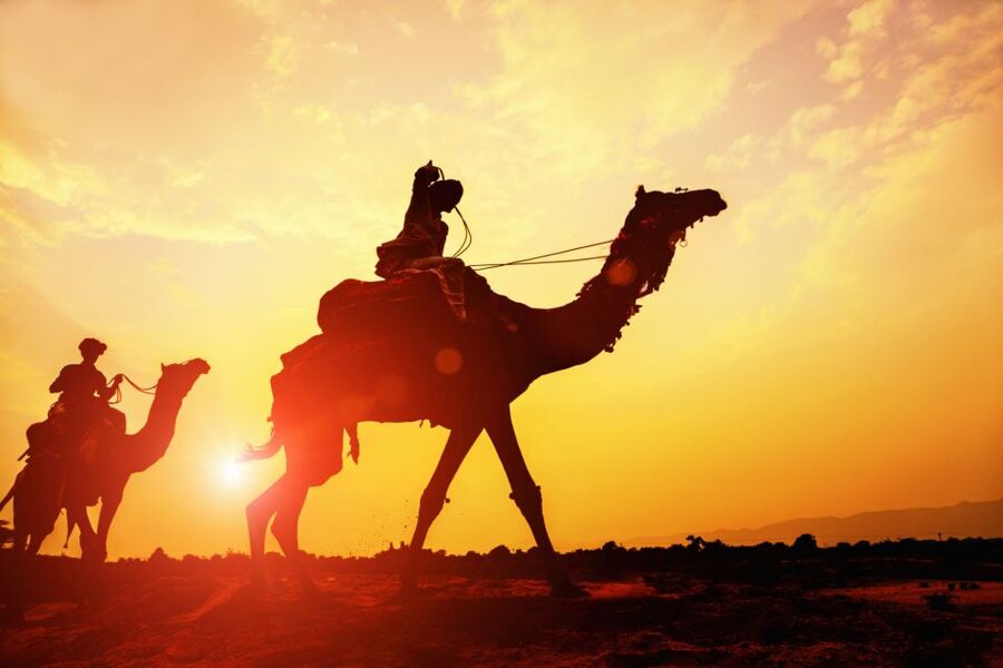 Agadir: Camel Ride With Tea & BBQ Dinner Option - Photos, music, and sunset timing