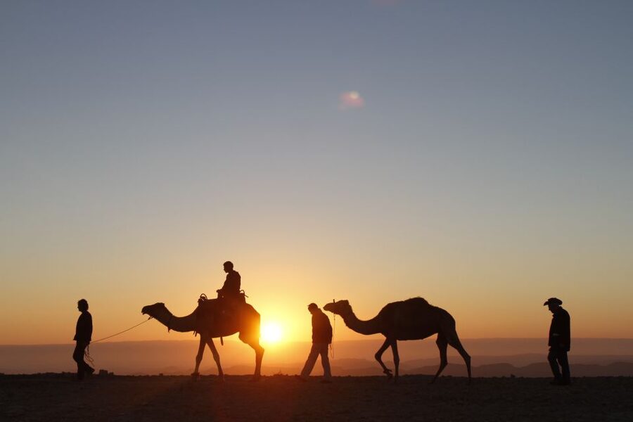 Agadir: Camel Ride With Tea & BBQ Dinner Option - Transport, timing, and group feel