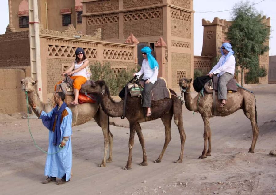 Agadir: Camel Ride With Tea & BBQ Dinner Option - Meeting the camels at the ranch