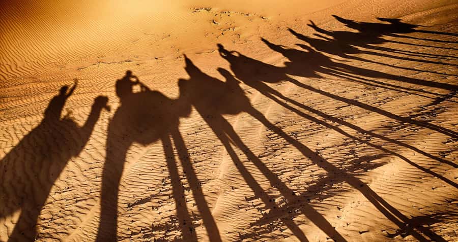 Agadir: Camel Ride With Tea - Choosing your camel and settling into the ride