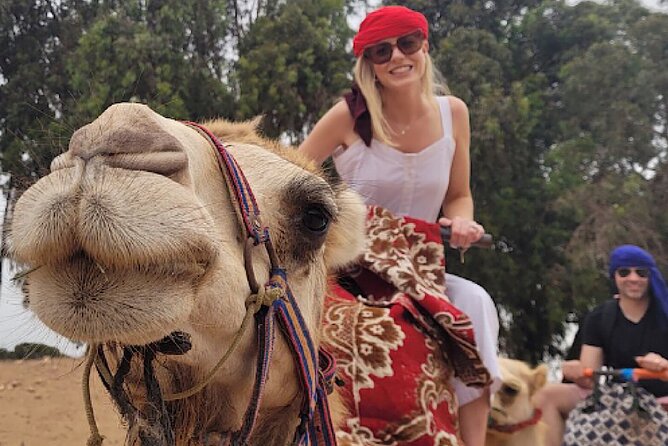 Agadir Camel Rides with Tea Drink & cakes - Key points to know before you book