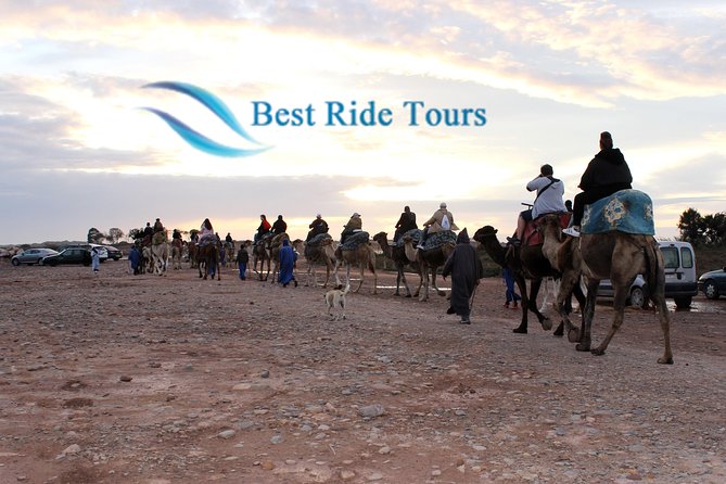 Agadir Camel Riding - Key Points Before You Book