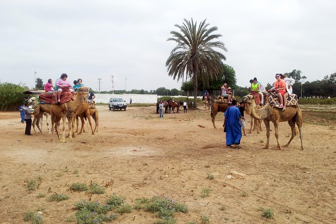Agadir Camel Riding - Leaving Agadir for the Camel Ranch