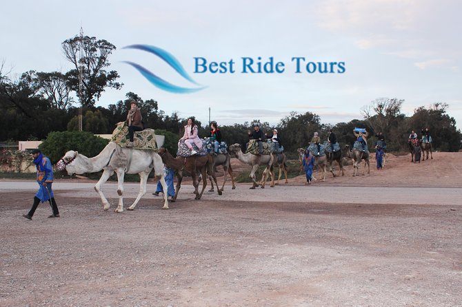 Agadir Camel Riding - Across Eucalyptus Trees and Sand Dunes