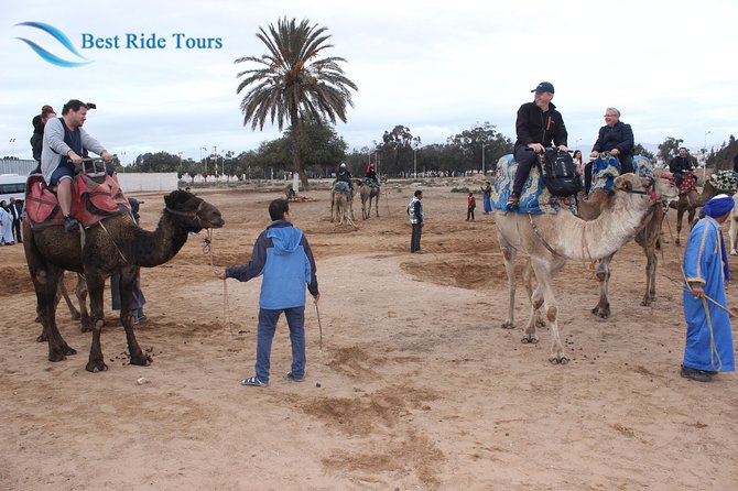 Agadir Camel Riding - The Guides Make the Difference