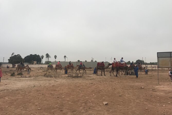 Agadir Camel Riding - Comfort, Clothing, and Small Surprises
