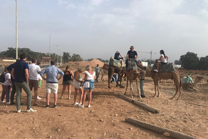 Agadir Camel Riding - How Long the Experience Really Takes