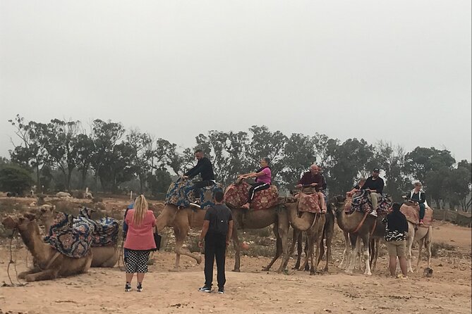 Agadir Camel Riding - Is $23.26 Good Value?