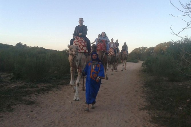 Agadir Camel Riding +Sunset and Dinner( barbecue) - What the camel route is really like