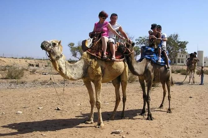 Agadir Camel Riding +Sunset and Dinner( barbecue) - Is $34.63 good value?