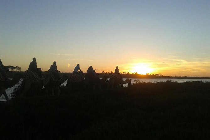 Agadir Camel Riding +Sunset and Dinner( barbecue) - What to bring and how to prepare