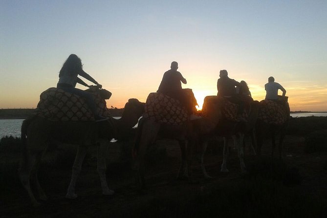 Agadir Camel Riding +Sunset and Dinner( barbecue) - Comfort, pace, and sharing a camel