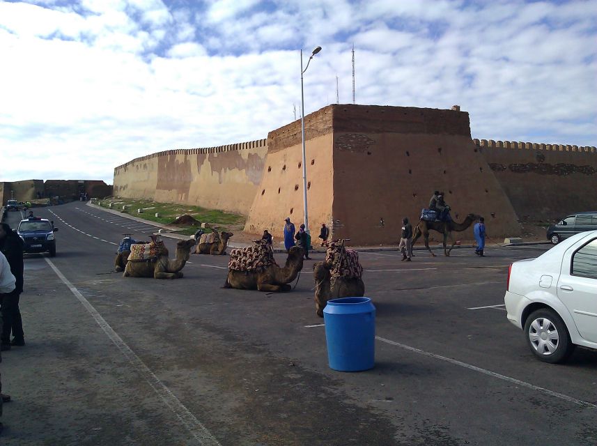 Agadir : City Sightseeing Tour - Moroccan design at a major mosque
