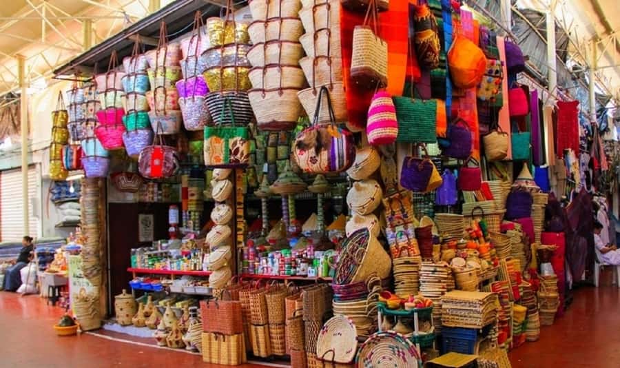 Agadir City Tour & Crocodile Park Adventure & Entry Ticket - Guides make the biggest difference