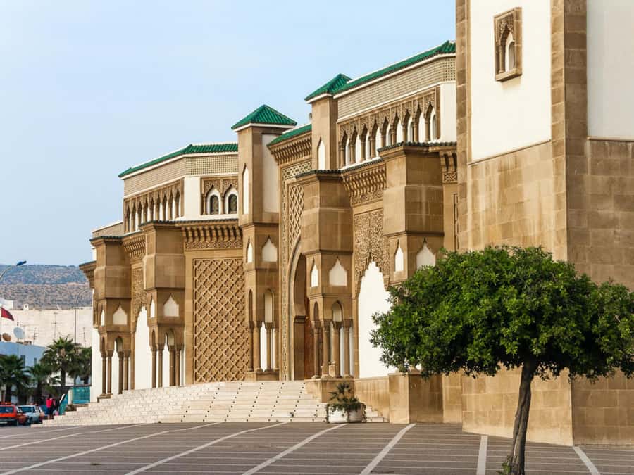 Agadir City Tour & Crocodile Park Adventure & Entry Ticket - Crocodile Park: an easy wildlife stop