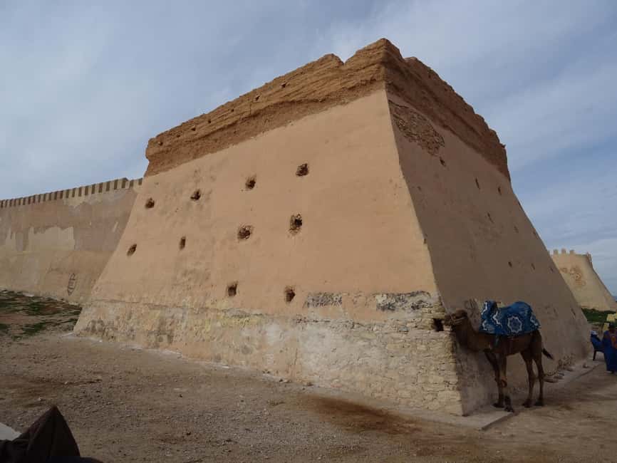 Agadir City Tour + Kasbah + Souk Market - The argan oil and prickly pear stop