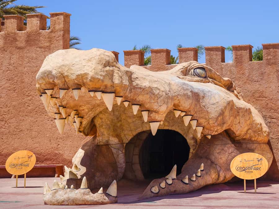 Agadir: Crocoparc Entry Ticket with Transfers, Guide, & Tea - Hotel pickup and the ride to the park