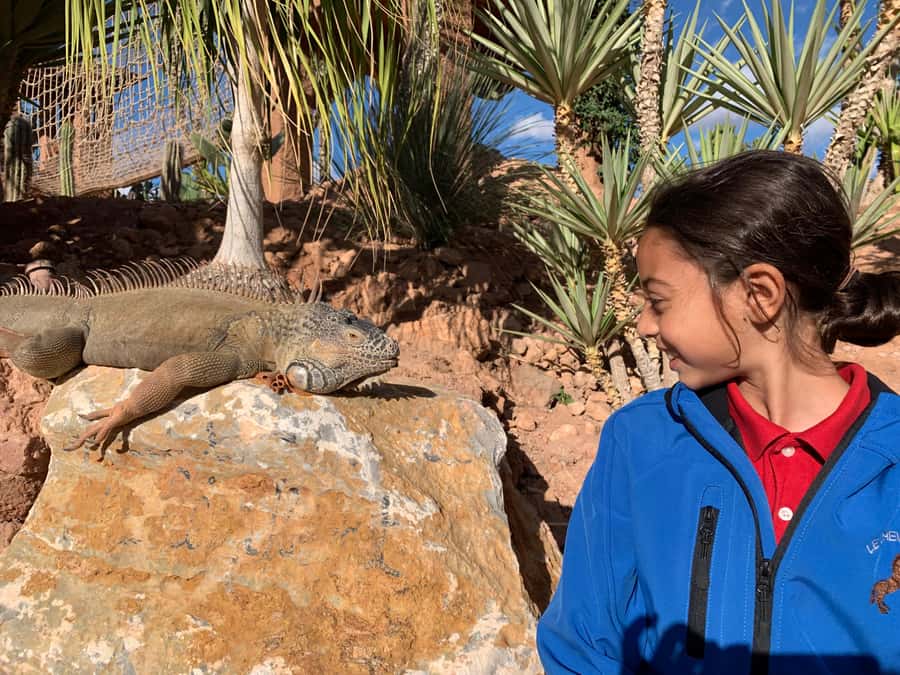 Agadir: Crocoparc Skip-the-Line Entry Ticket - What makes Crocoparc Agadir worth your time