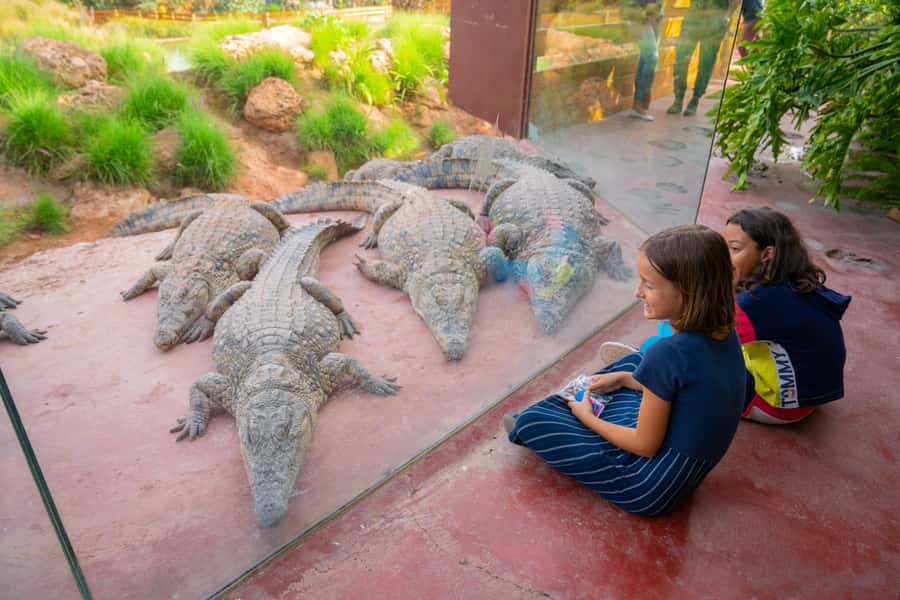 Agadir: Crocoparc Skip-the-Line Entry Ticket - How long should you stay?