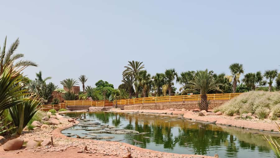 Agadir: Crocoparc Skip-the-Line Entry Ticket - Entering through the giant crocodile mouth