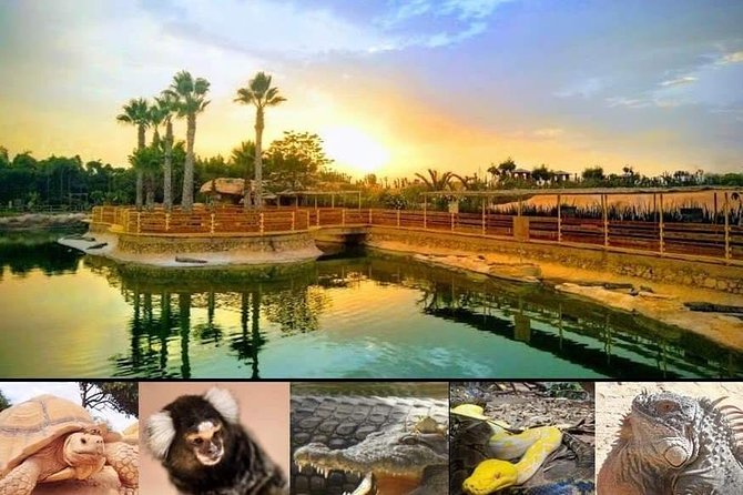 Agadir Crocoparc Transfer & Admission tickets - Gardens, play areas, café, and the gift shop