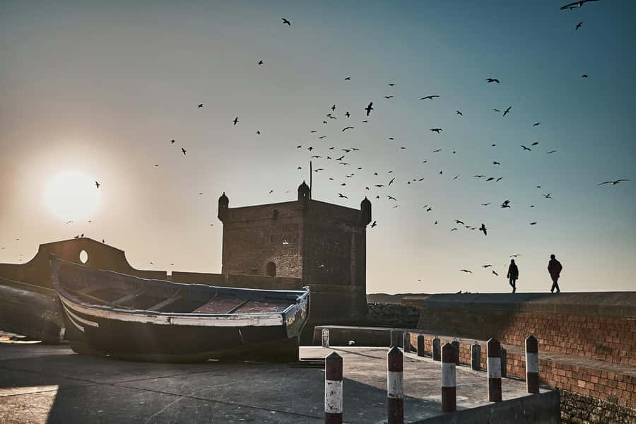 Agadir: Essaouira Guided Day Trip - Who Should Book This Day Trip?