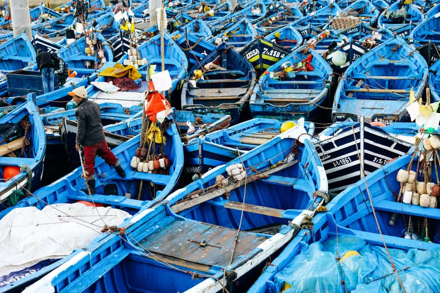 Agadir: Essaouira Guided Day Trip - Why Essaouira Works As A Day Trip From Agadir