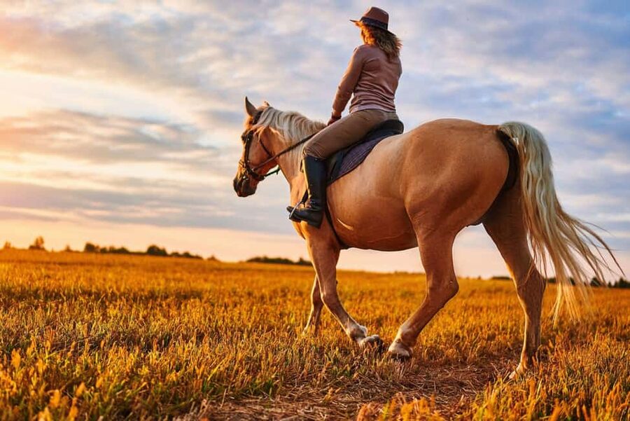 Agadir: Forest and Sand Dunes Guided Horse Riding - Key points to know before you book