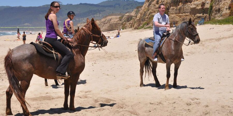 Agadir: Forest and Sand Dunes Guided Horse Riding - Is $23 good value?