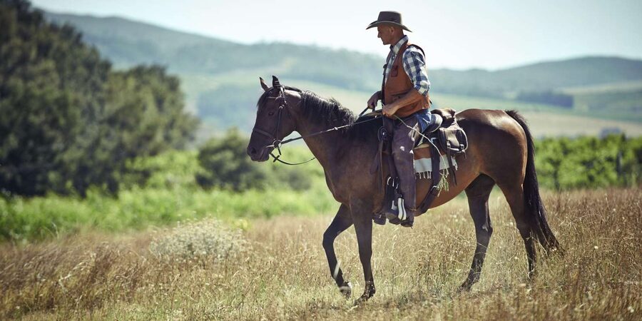 Agadir: Forest and Sand Dunes Guided Horse Riding - Through the eucalyptus forest