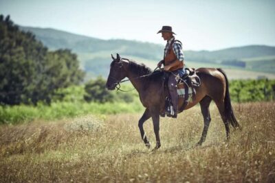 Forest and Sand Dunes Guided Horse Riding