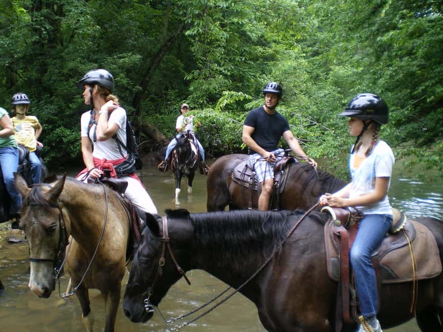 Agadir: Forest and Sand Dunes Guided Horse Riding - Tea at the stable