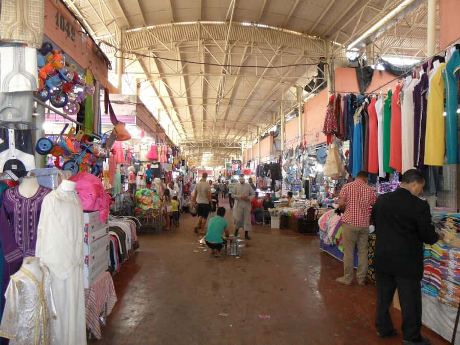 Agadir: Half-Day Guided Tour - Agadir Medina and the City’s Modern Story