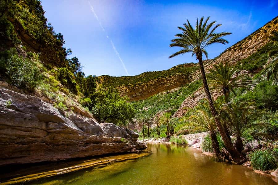 Agadir :Half day Paradise Valley & Atlas Mountains Tour - The walk into Paradise Valley
