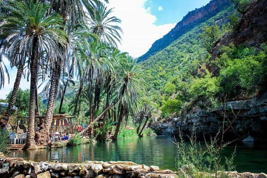 Agadir :Half day Paradise Valley & Atlas Mountains Tour - What the $17 price really gives you