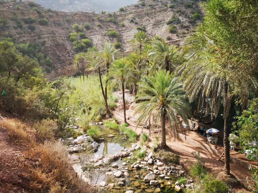 Agadir :Half day Paradise Valley & Atlas Mountains Tour - Which guide and language should you expect?