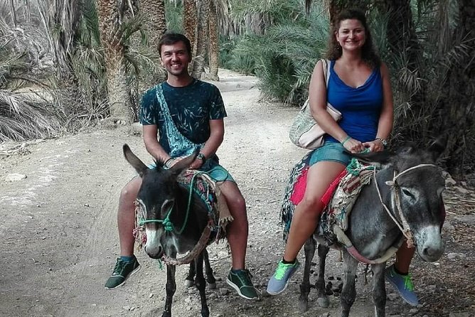 Agadir Morocco: Day Trip To Taroudant & Tiout Oasis with Lunch - Key details at a glance