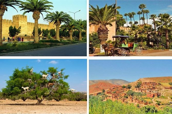 Agadir Morocco: Day Trip To Taroudant & Tiout Oasis with Lunch - The morning drive from Agadir