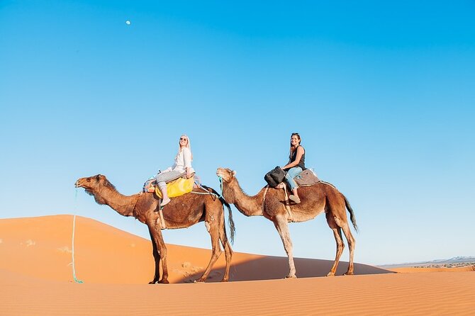 Agadir or taghazout : 4×4 Jeep Sahara Desert Trip with Lunch - Tiznit’s Old Medina and Berber Silver