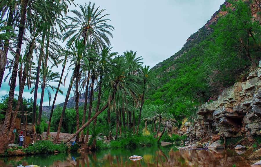 Agadir or Taghazout: Paradise Valley Atlas Mountain Trip - The botanic garden and Argan House stop