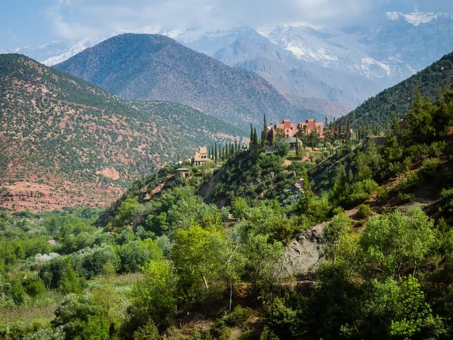 Agadir or Taghazout: Paradise Valley Atlas Mountain Trip - Morning or afternoon departure?