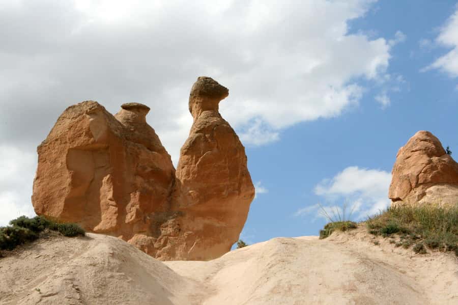 Agadir or Taghazout: Paradise Valley Atlas Mountains - What the $16 price really gets you