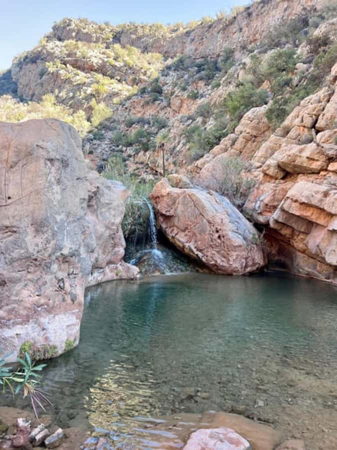 Agadir or Taghazout: Paradise Valley Atlas Mountains - Guide languages and day-to-day communication