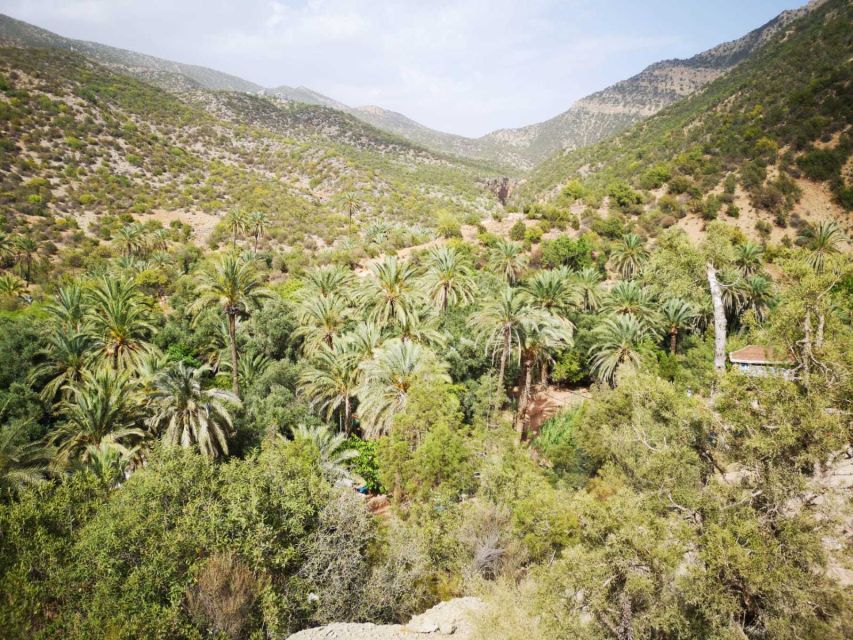 Agadir or Taghazout: Paradise Valley Atlas Mountains Tour - Who will enjoy this outing most?