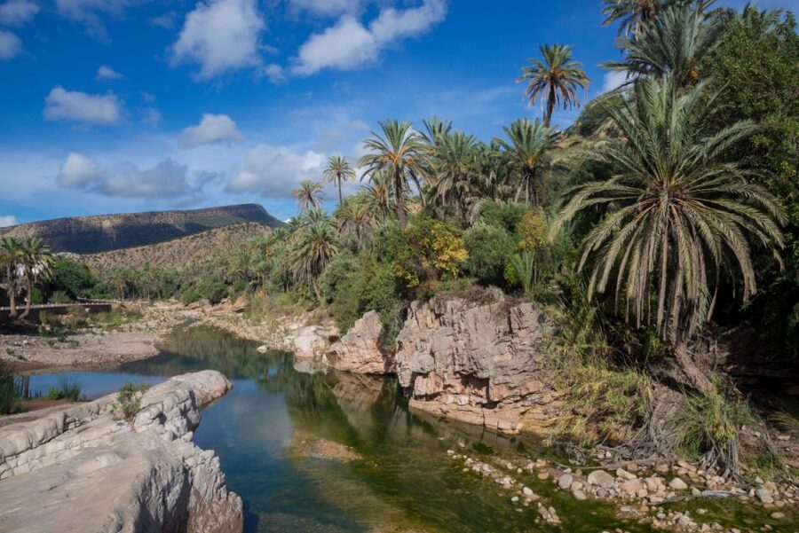 Agadir or Taghazout: Paradise Valley Atlas Mountains Tour - Swimming, rock jumps, and time beside the pools