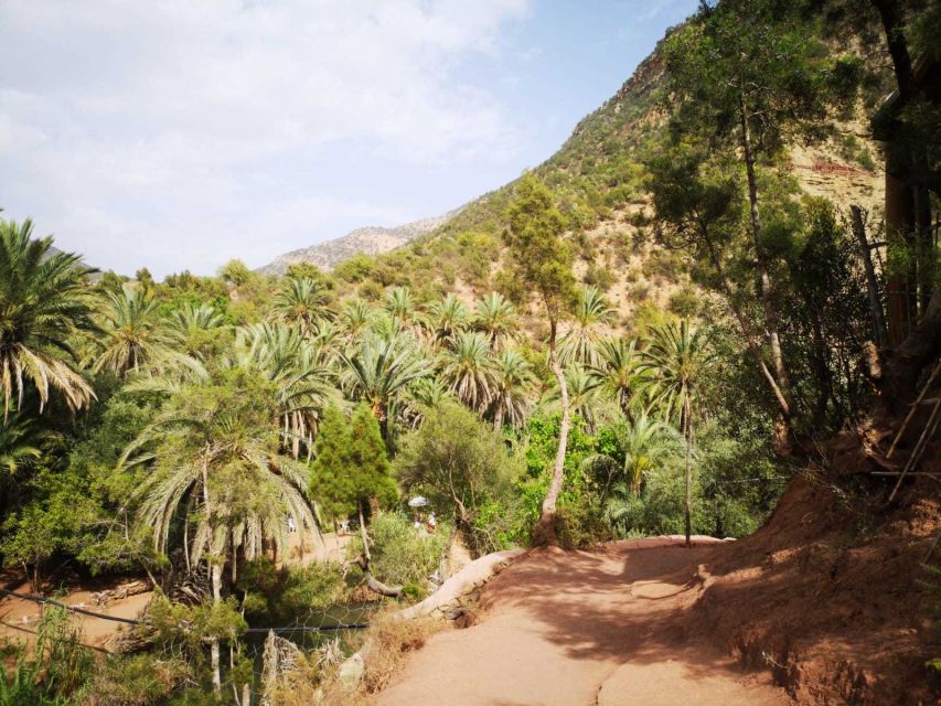Agadir or Taghazout: Paradise Valley Atlas Mountains Tour - How the guides shape the day