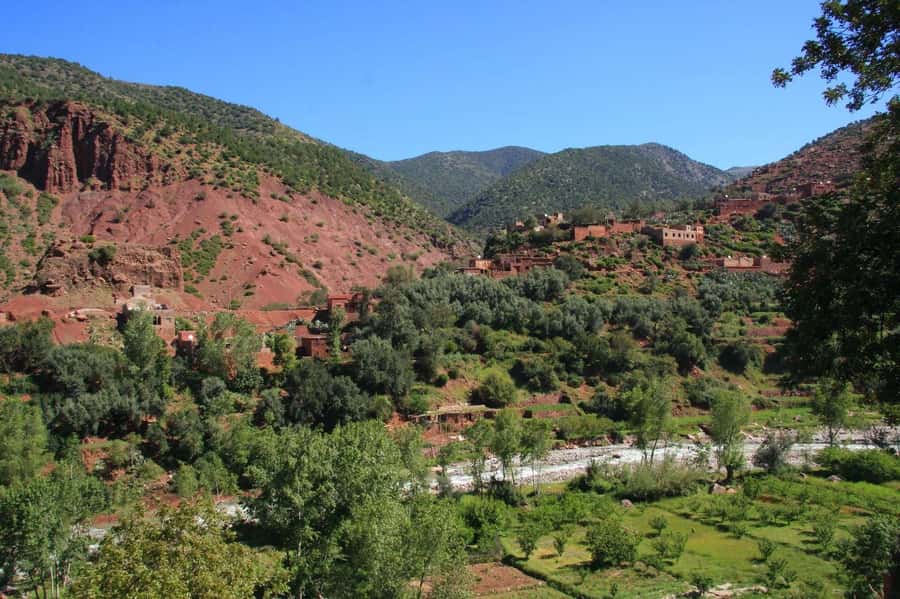 Agadir or Taghazout: Paradise Valley & Atlas Mountains Trip - Why Paradise Valley makes a good half-day escape