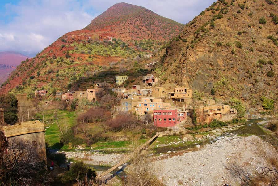 Agadir or Taghazout: Paradise Valley & Atlas Mountains Trip - The botanical garden, honey, and argan products